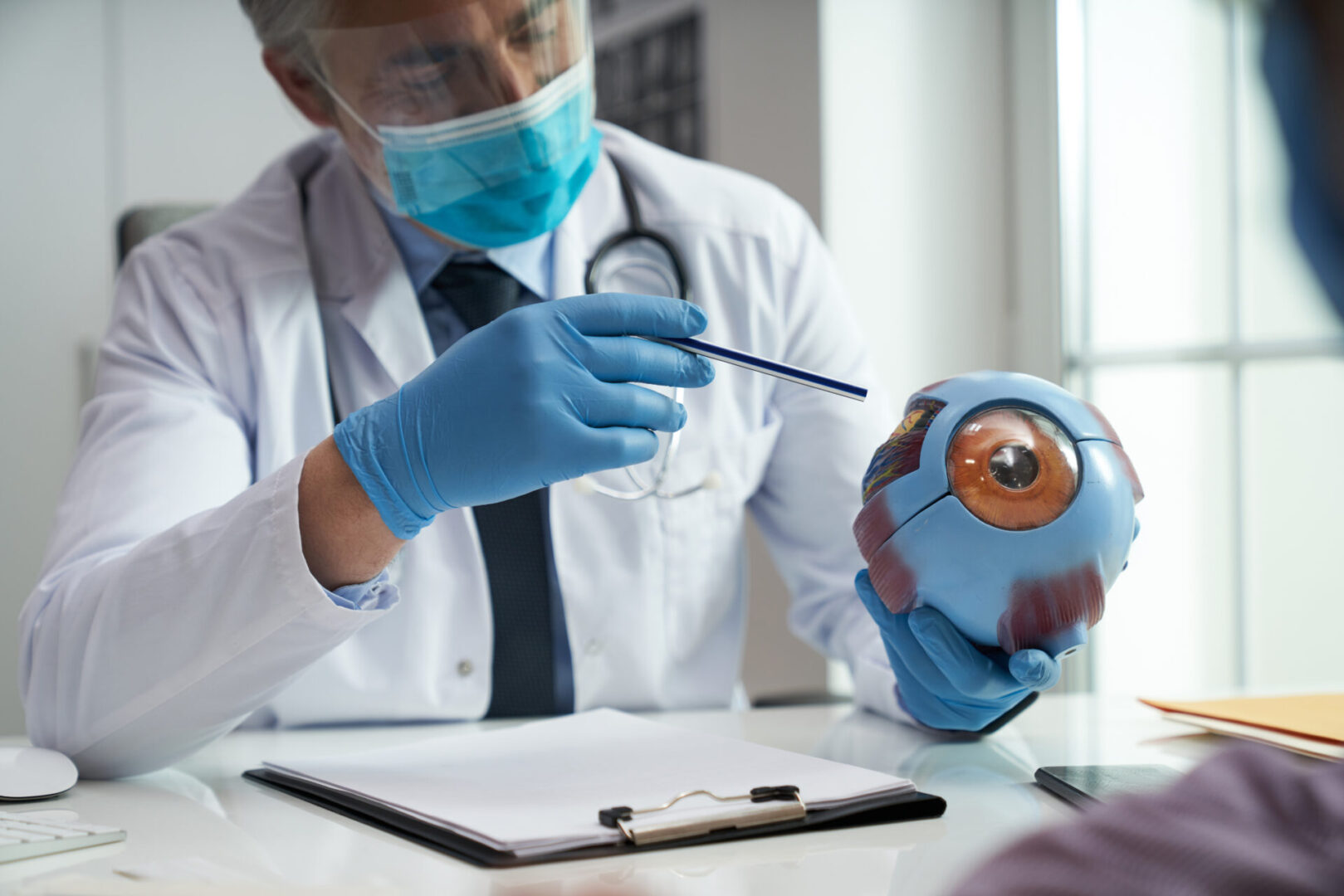 doctor showing the structure of the eye